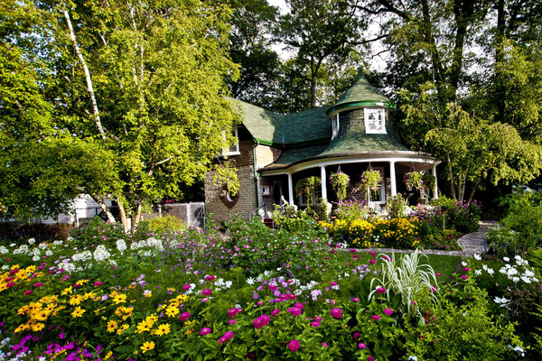 A Wealth of Flowers