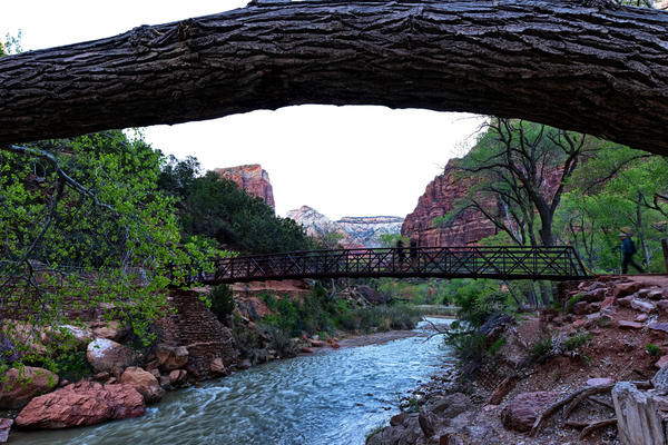 Bridge over Virgin River