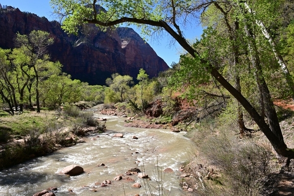 Virgin River