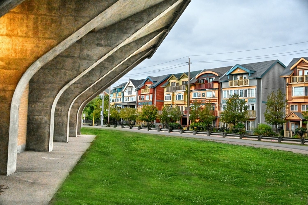 The Painted Ladies