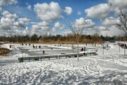 Natural Skating Rink on the pond