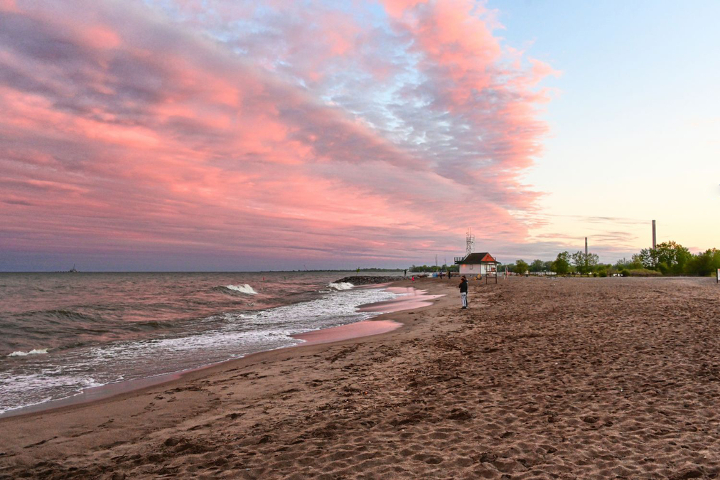 Pink Dusk