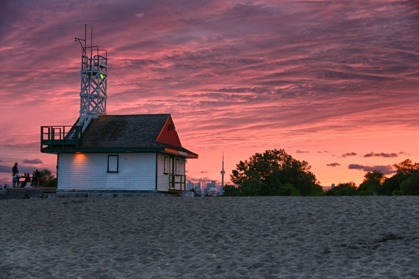 Magenta Sunset