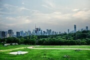 Skyline view from Riverdale Park