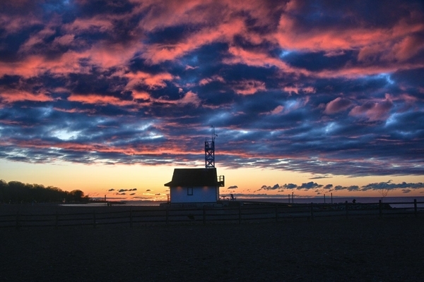 Pinks and Blues