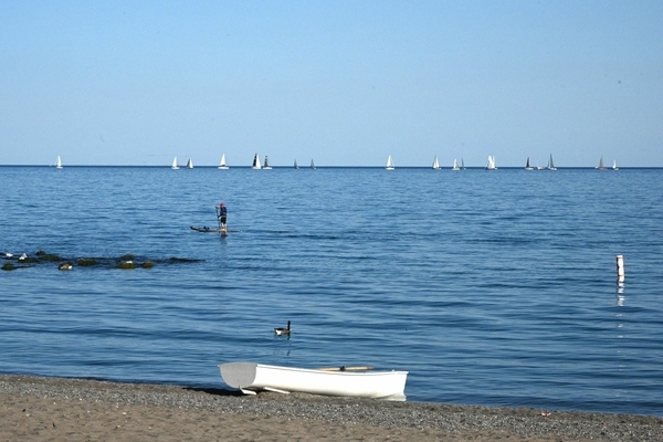 Waterfront activity