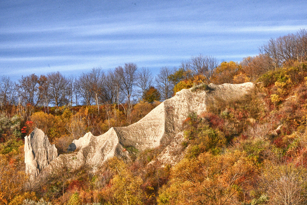 Muted Colours of Fall (AAF 8739)