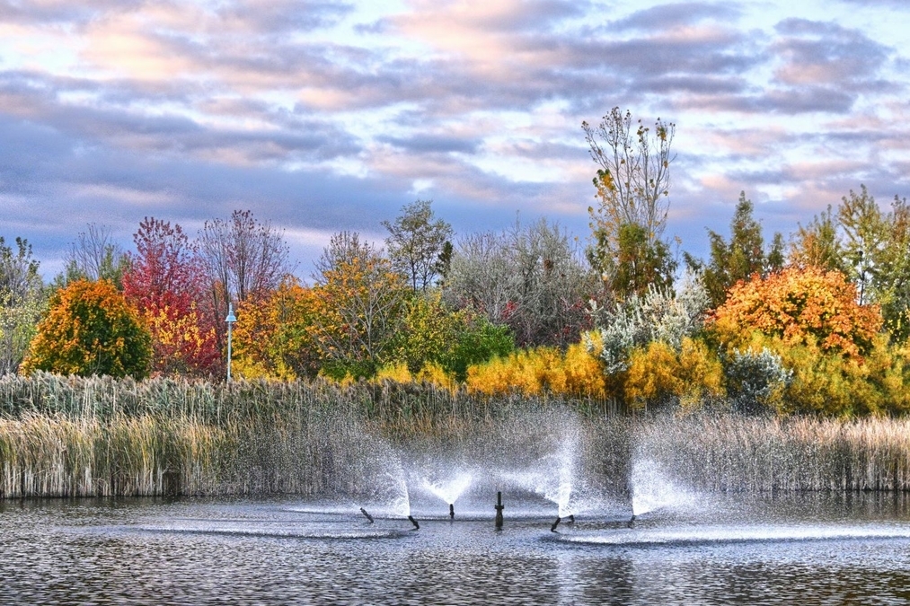 The Pond in Autum