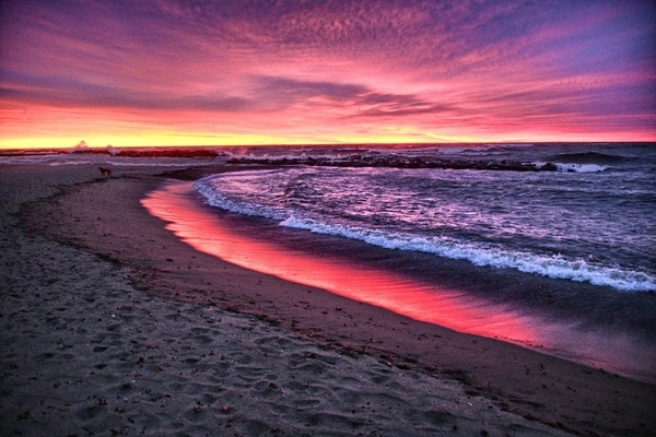 Red Sandy Shore