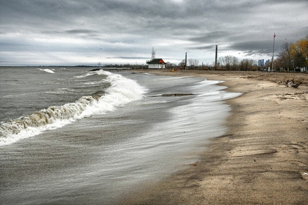 The surf and the Leuty