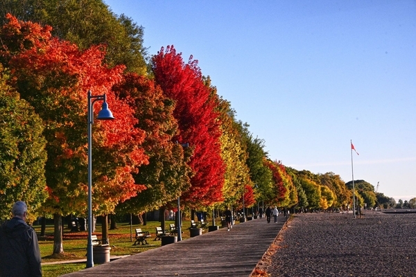 COLOUR ON THE BOARDWALK (AAH 6788 HDR)