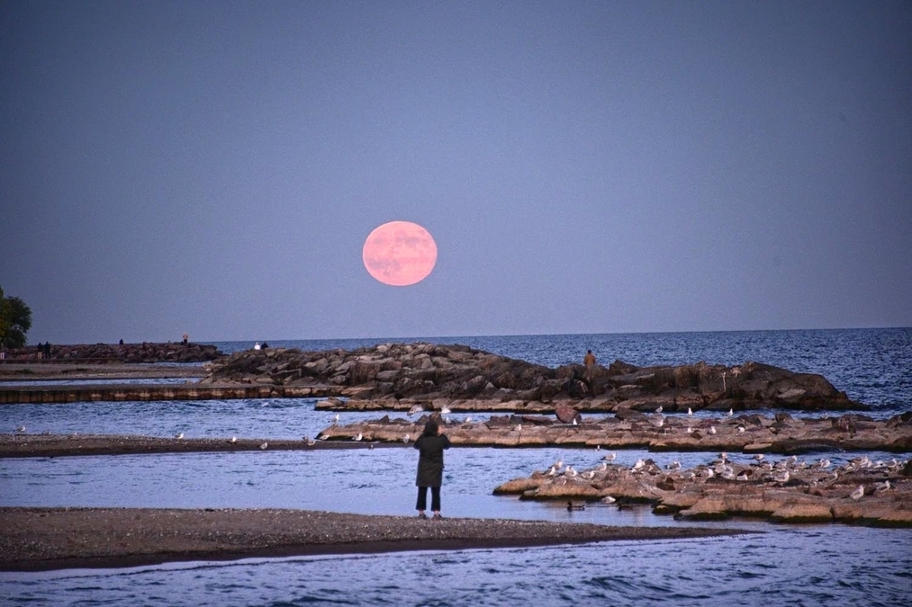 FULL MOON RISING