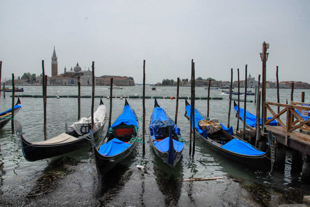 Gondolas at San Marco