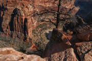 View into the valley from top of Angels Landing