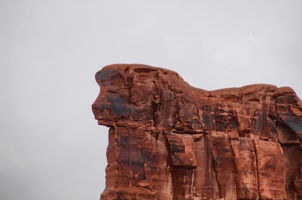 Close-up of Sheeps Head, Arches