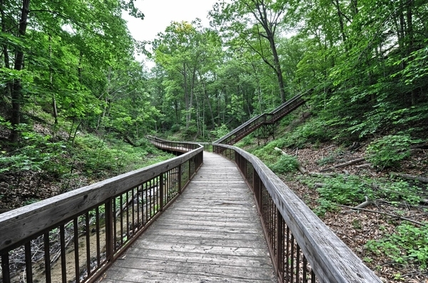 Glen Stewart Ravine Boardwal