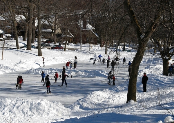 This Rink