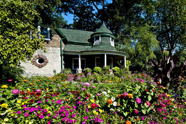 Flowers Galore (DSC 9037)