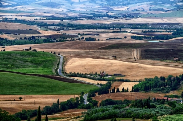 Tuscany Landscape