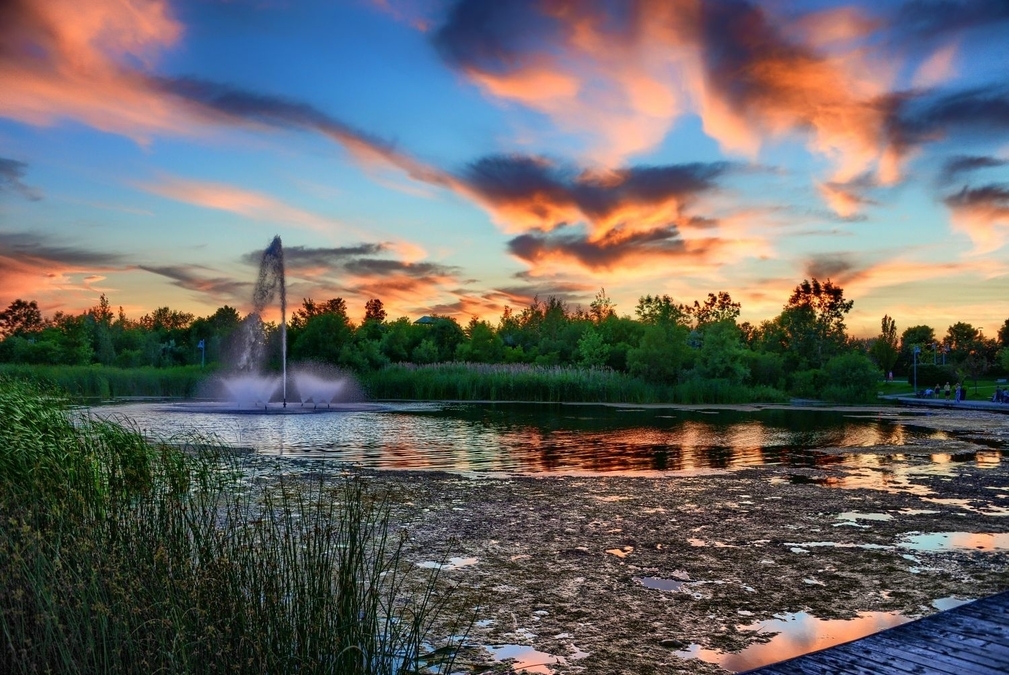 The Pink, the Pond, The Fountain