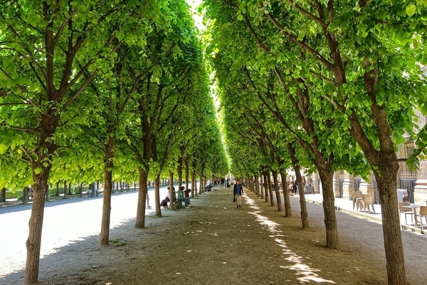 Tuilleries, Paris