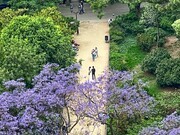 View into the Gardens below