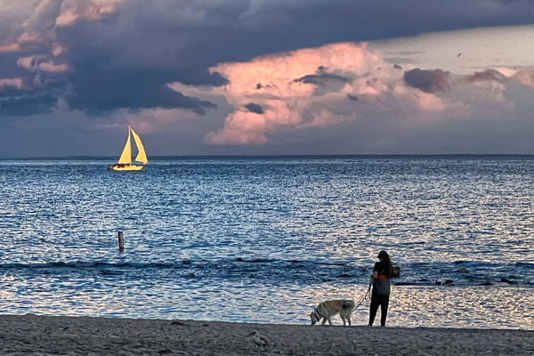 EVENING SAIL (IMG 2283 HDR)