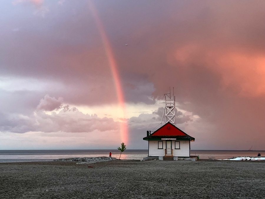 THE RAINBOW AND THE TREE (IMG 3749)