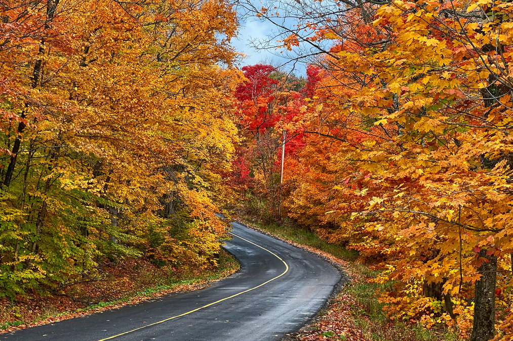 CLEAR LAKE ROAD COLOURS (IMG 6545 HDR)