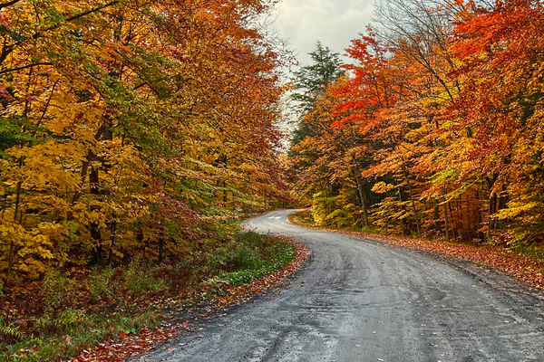 BEECHWOOD ROAD (IMG 6559 HDR)