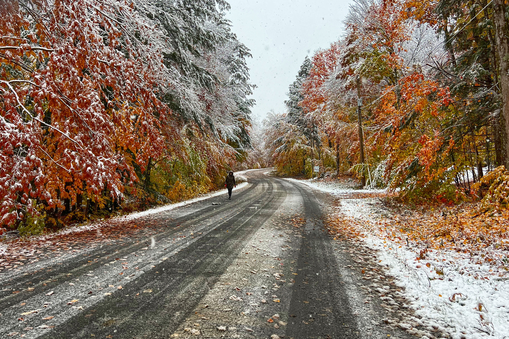 FIRST SNOW (IMG 6612 HDR)