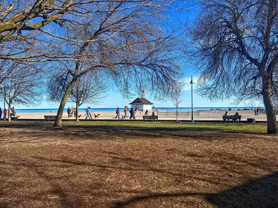SPRING ON THE BOARDWALK (IMG 8351 HDR)