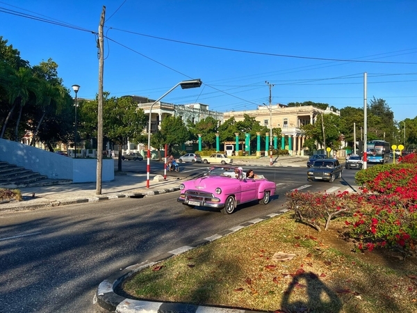 Pink Cadillac