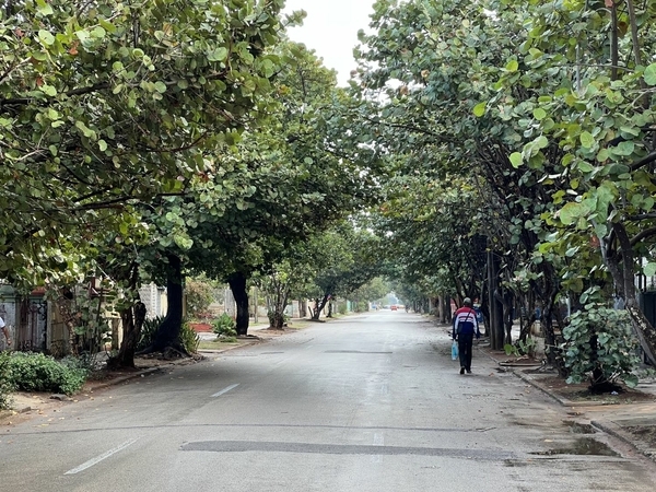 Vevado Streetscape